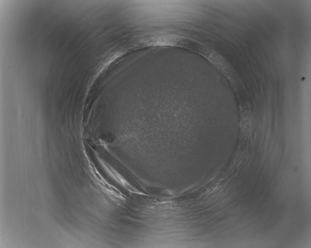 X0000053100386200507251636