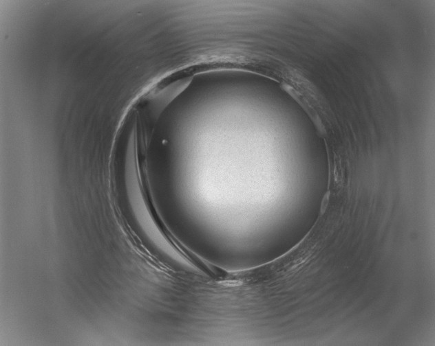 X0000053100388200507251636