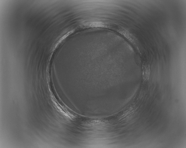 X0000053100390200507251636