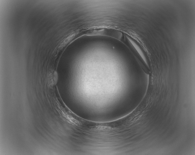 X0000053100393200507251636