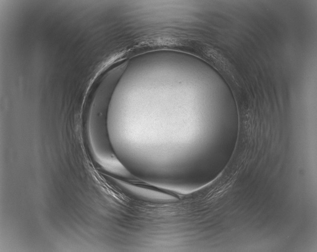 X0000053100395200507251636