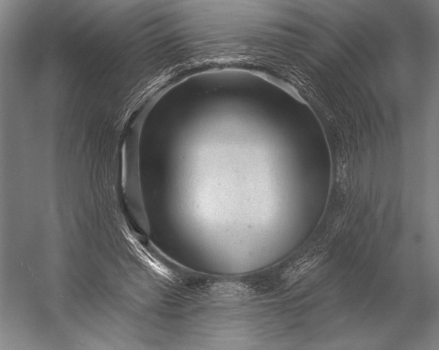 X0000053100397200507251636
