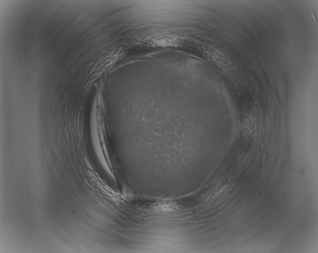 X0000053100402200507251636