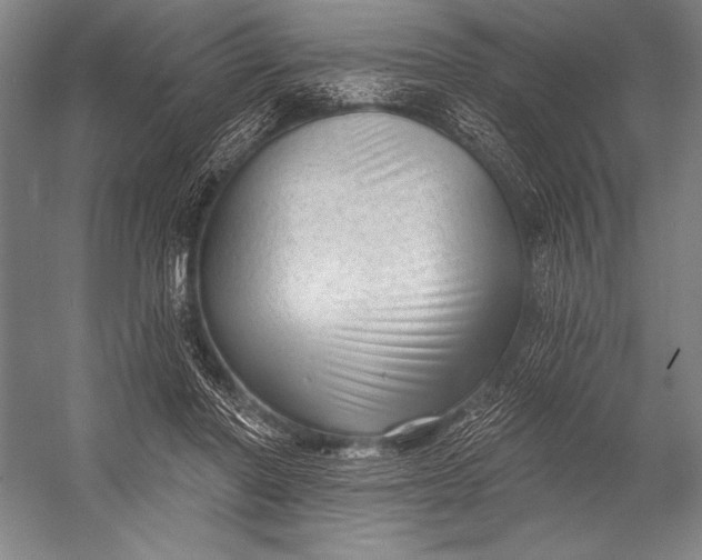 X0000053100406200507251636