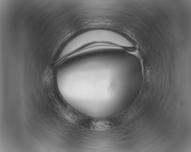 X0000053100407200507251636