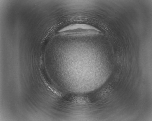 X0000053100408200507251636