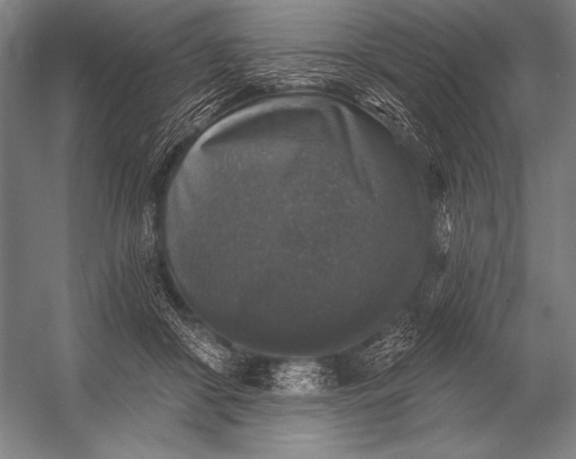 X0000053100410200507251636