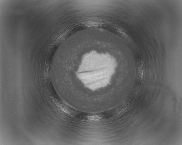 X0000053100411200507251636