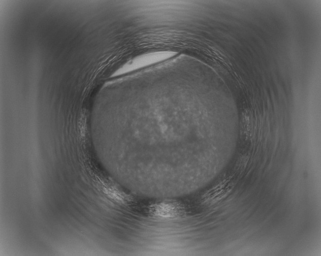 X0000053100412200507251636