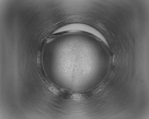 X0000053100413200507251636
