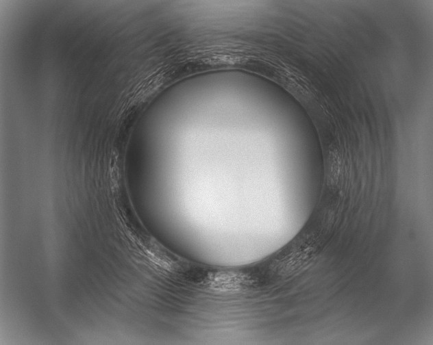X0000053100414200507251636