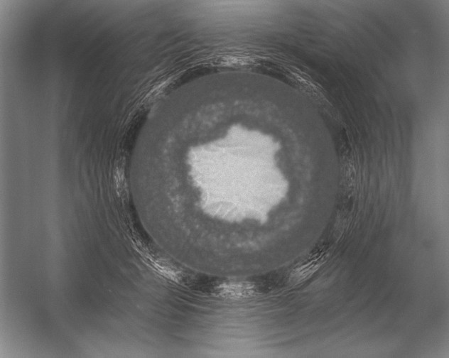 X0000053100415200507251636