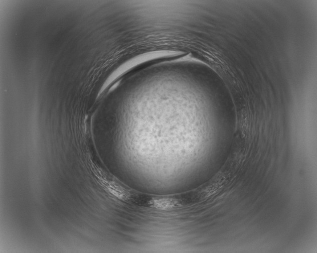 X0000053100417200507251636