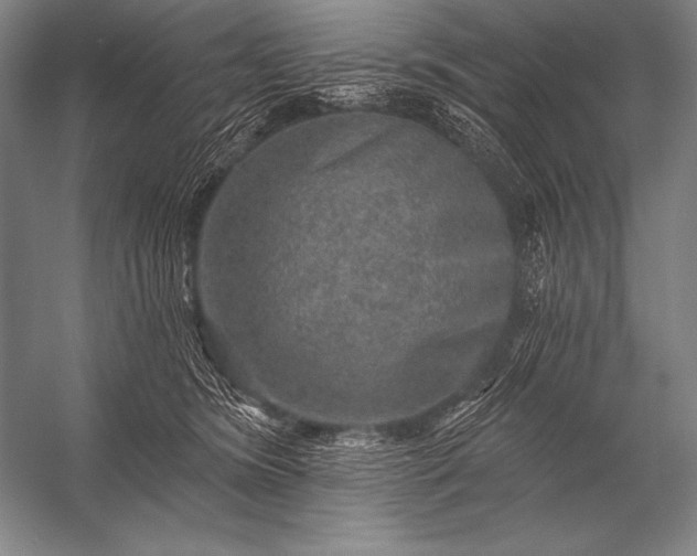X0000053100420200507251636