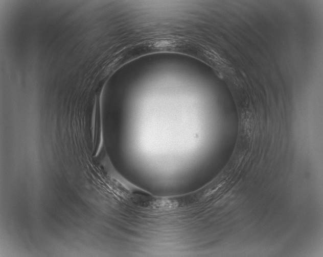 X0000053100421200507251636