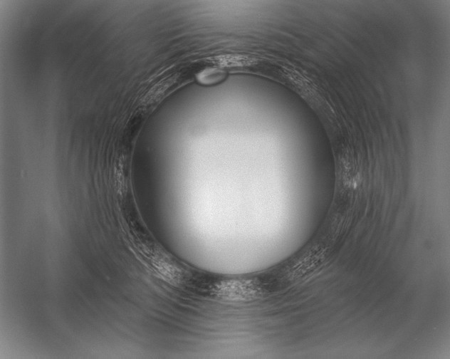 X0000053100422200507251636