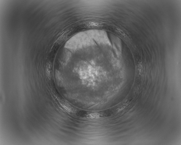 X0000053100423200507251636