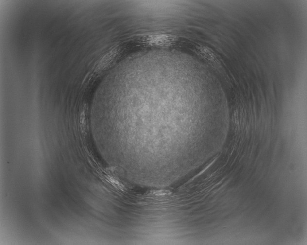 X0000053100424200507251636