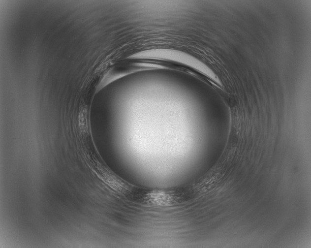 X0000053100425200507251636