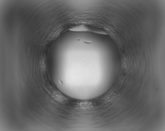X0000053100426200507251636