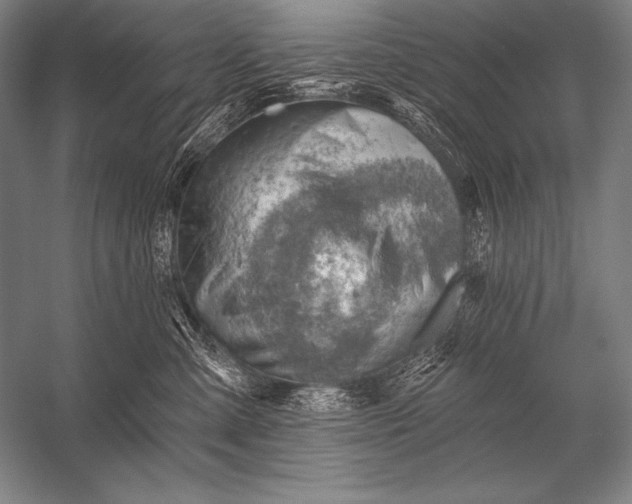 X0000053100427200507251636