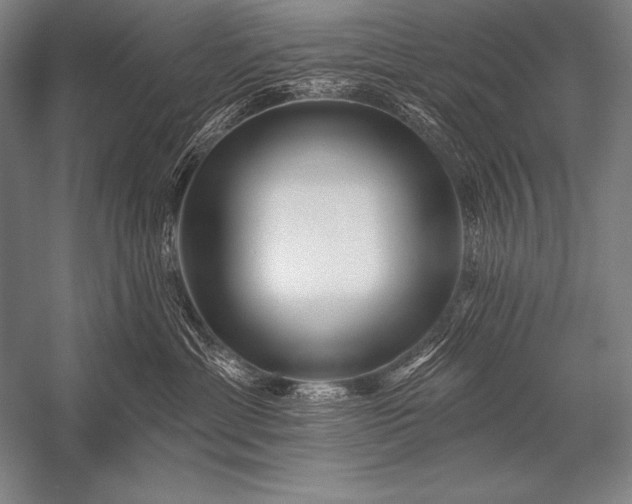 X0000053100429200507251636