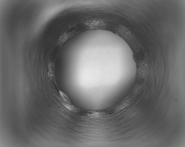 X0000053100430200507251636