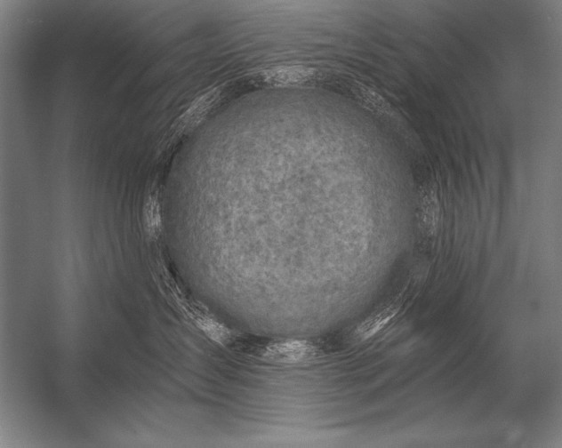 X0000053100431200507251636
