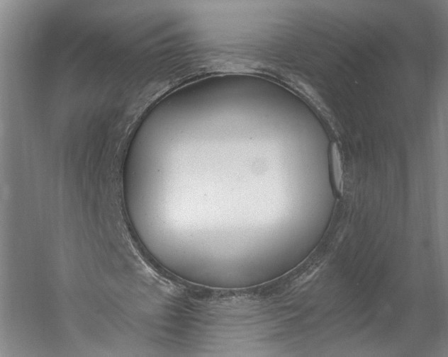 X0000053100433200507251635