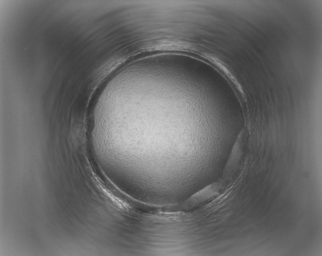 X0000053100437200507251635