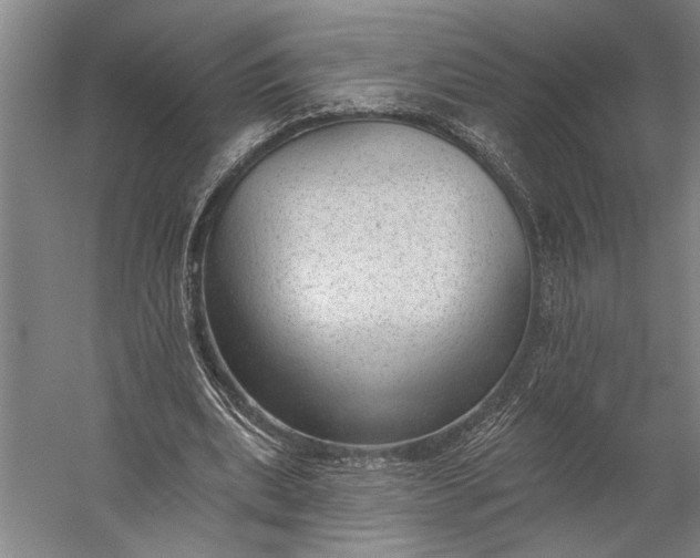 X0000053100439200507251635