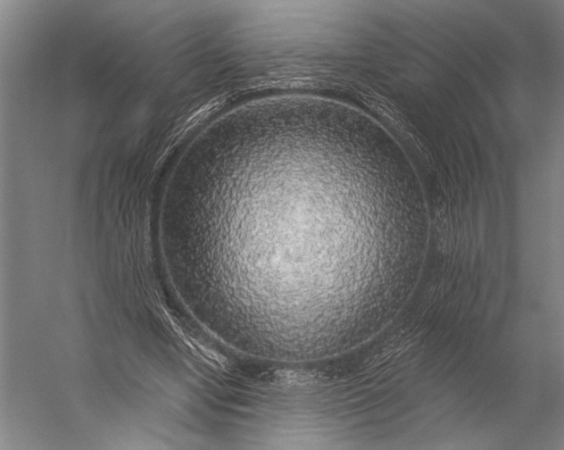 X0000053100442200507251635