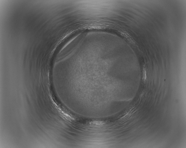 X0000053100444200507251635