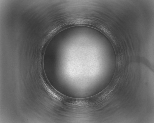 X0000053100445200507251635