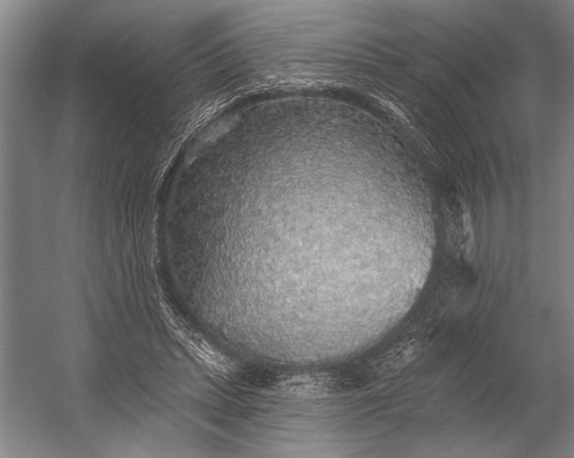 X0000053100447200507251635