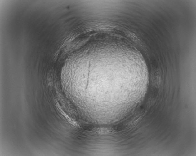 X0000053100449200507251635