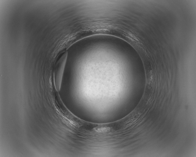 X0000053100452200507251635