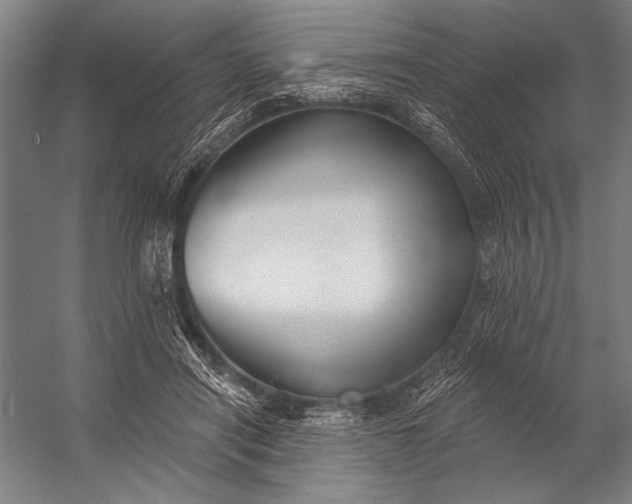 X0000053100454200507251635