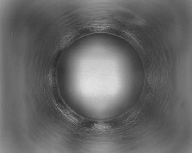 X0000053100455200507251635