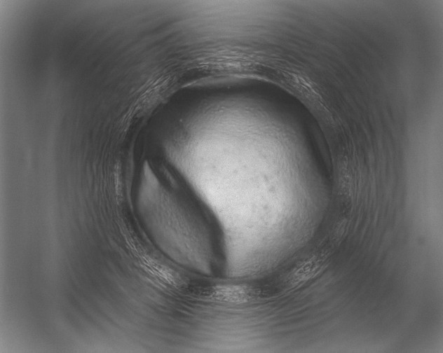 X0000053100457200507251635