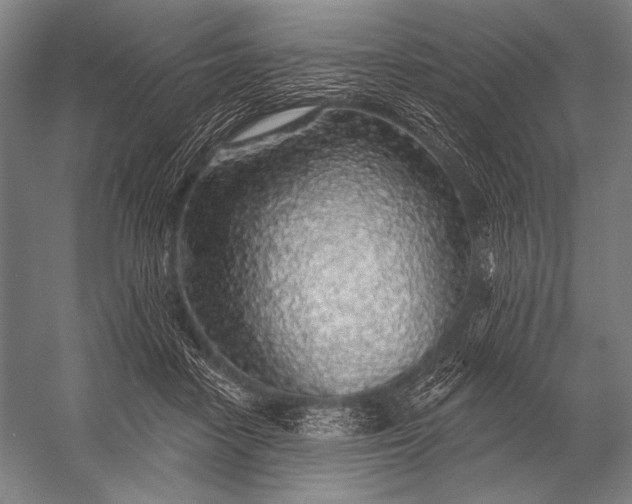 X0000053100458200507251635