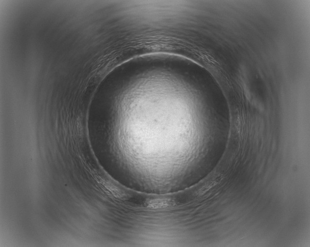 X0000053100461200507251635