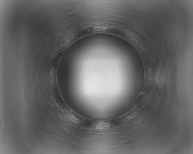 X0000053100463200507251635