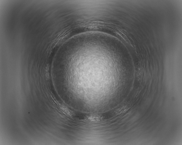 X0000053100466200507251635