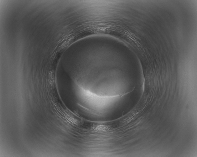 X0000053100467200507251635