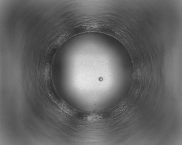 X0000053100468200507251635