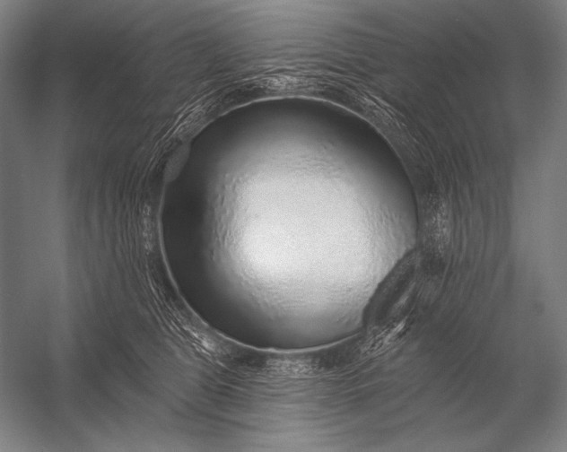 X0000053100469200507251635