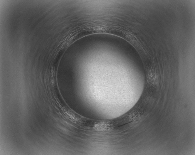 X0000053100470200507251635