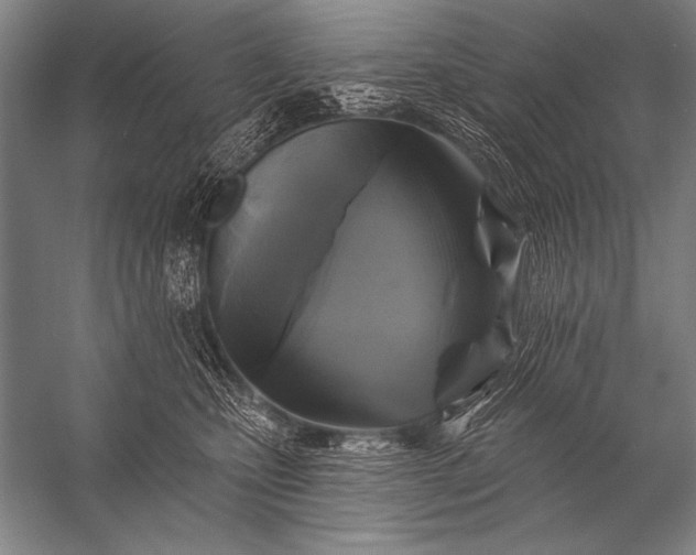 X0000053100471200507251635