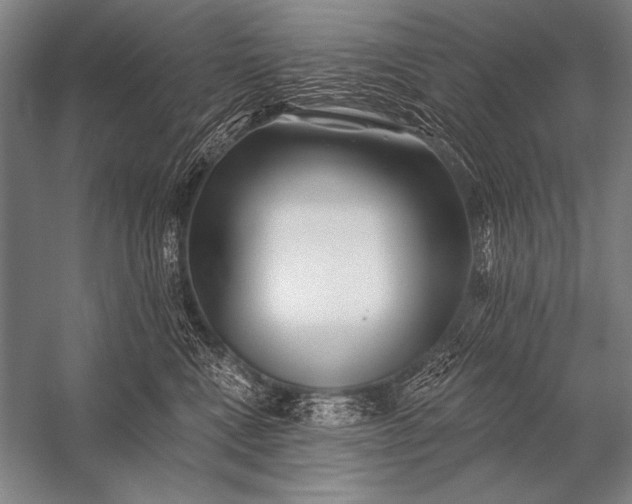 X0000053100472200507251635
